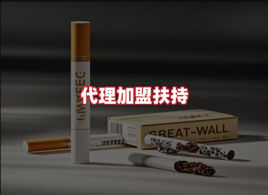 专业团队